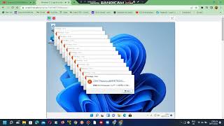Windows 11 overdrive