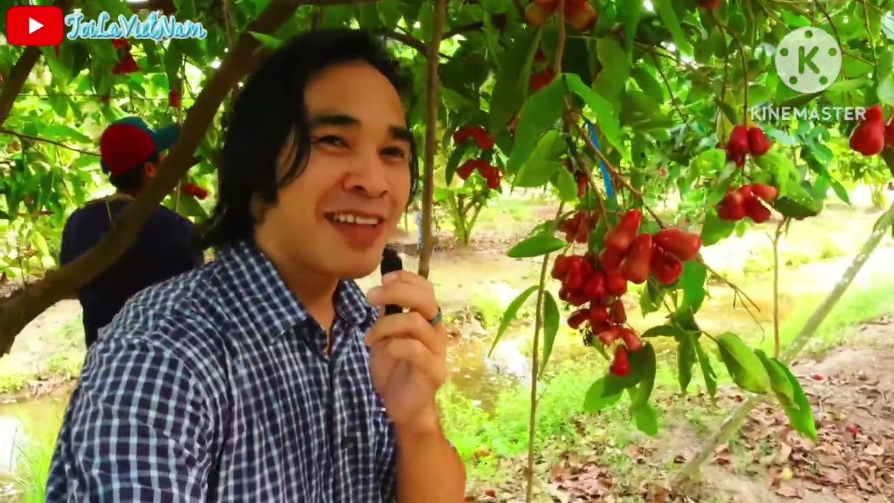 VỪA LÒNG BẬU CHƯA. VŨ LUÂN, PHƯƠNG LÊ. PHẠM ANH TUẤN. LIÊU A SEN COVER