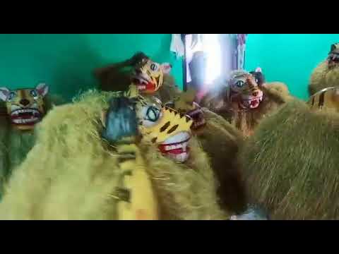 Pedhapulli video in polasa  moharam festival in polasa 