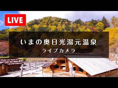 奥日光湯元温泉 ライブ配信