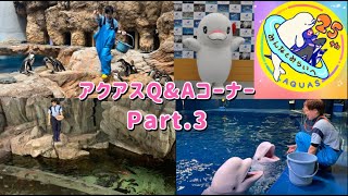 アクアスQ\&Aコーナー Part.3【しまね海洋館アクアス】