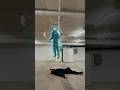 Backflip Madness Backflip Madness