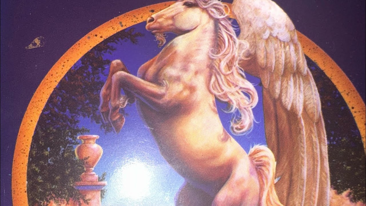 BAŞAK BURCU👩‍❤️‍👨❤️💍RAKİPLERE FARK ATIYORSUN👏