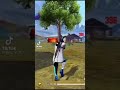 وايت 4444 