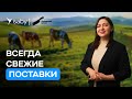 Как организовать складской учет с ЭДО, «Меркурием» и актами разбора | Отзыв Saby