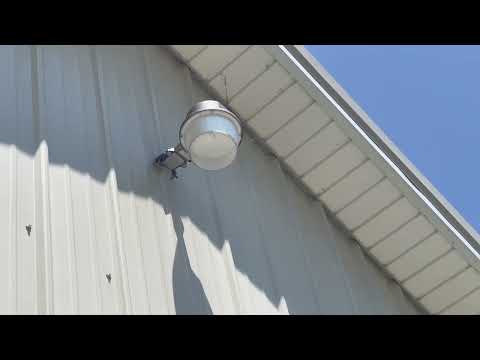 TORCHSTAR LED Barn