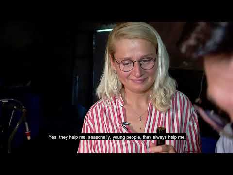 ნათენაძის მარანი/natenadze's wine cellar