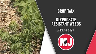 CropTalk | Glyphosate-Resistant Weeds | April 14, 2023