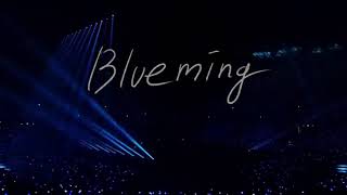 [MR REMOVED] IU - Blueming Net Worth