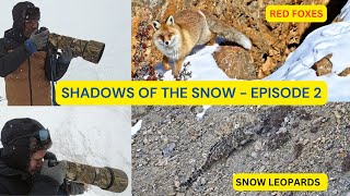 Shadows of the Snow(Snow Leopards) - Episode 2