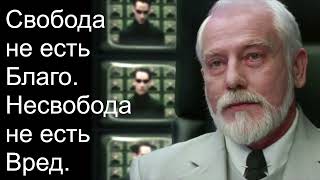 Свобода — это незнание, Несвобода - это Знание