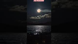 cekidot!!!                                         #ngakak #lucu #shorts #memes #viralvideo #tiktok