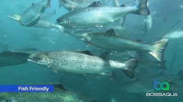 Autoboss V4 Smartbot net cleaner by Bossaqua