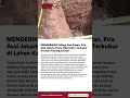 MENGERIKAN! Hilang Dua Pekan, Pria Asal Jakarta Timur Ditemukan Terkubur di Lahan Kosong Cikeas!