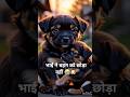 भाई ने बहन को छोड़ा नहीं 😭🐶 | Emotional Puppy Story | Heart Touching Shorts#viral