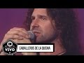 Caballeros de la Quema (En vivo)  - Show Completo - CM Vivo 2000