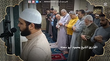 تلاوه خاشعه 44 | للقارئ الشيخ محمود أبو سعده الليله السابعه عشر رمضان 1446