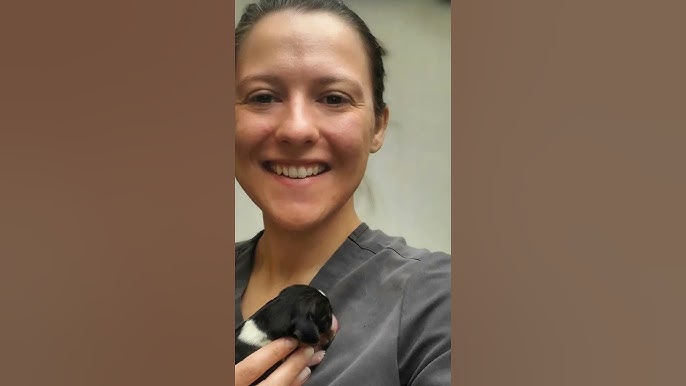What Happened To Lisa Jones On Dr Pol?: Unveiling the Truth