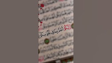 استخدم الصوت ♥️🌹 #اكسبلور #الظروف #القران الكريم #لايك #الغلا #memes #تيك_توك