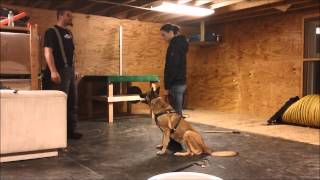 Flasch Bitework 2-26-12