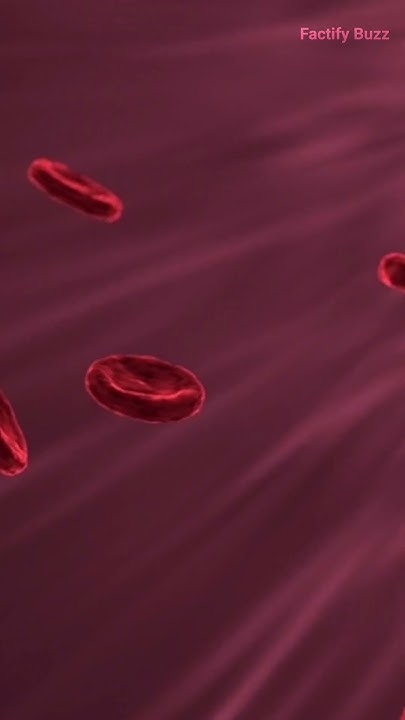 is-vegetable-juice-good-for-you-shorts-trending-sciencefacts-youtube