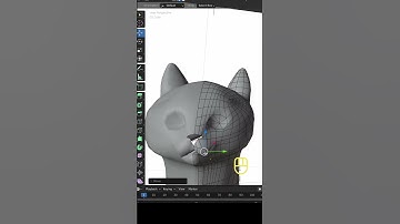 3d cat in Blender - watch the full tutorial with comments on my channel ￼