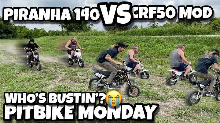 Piranha 140 vs CRF 50 Mod | Pitbike Monday