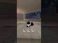 Sea Lion #gymclassvr #gorillatag #vrbasketball #gtag #vr #viral