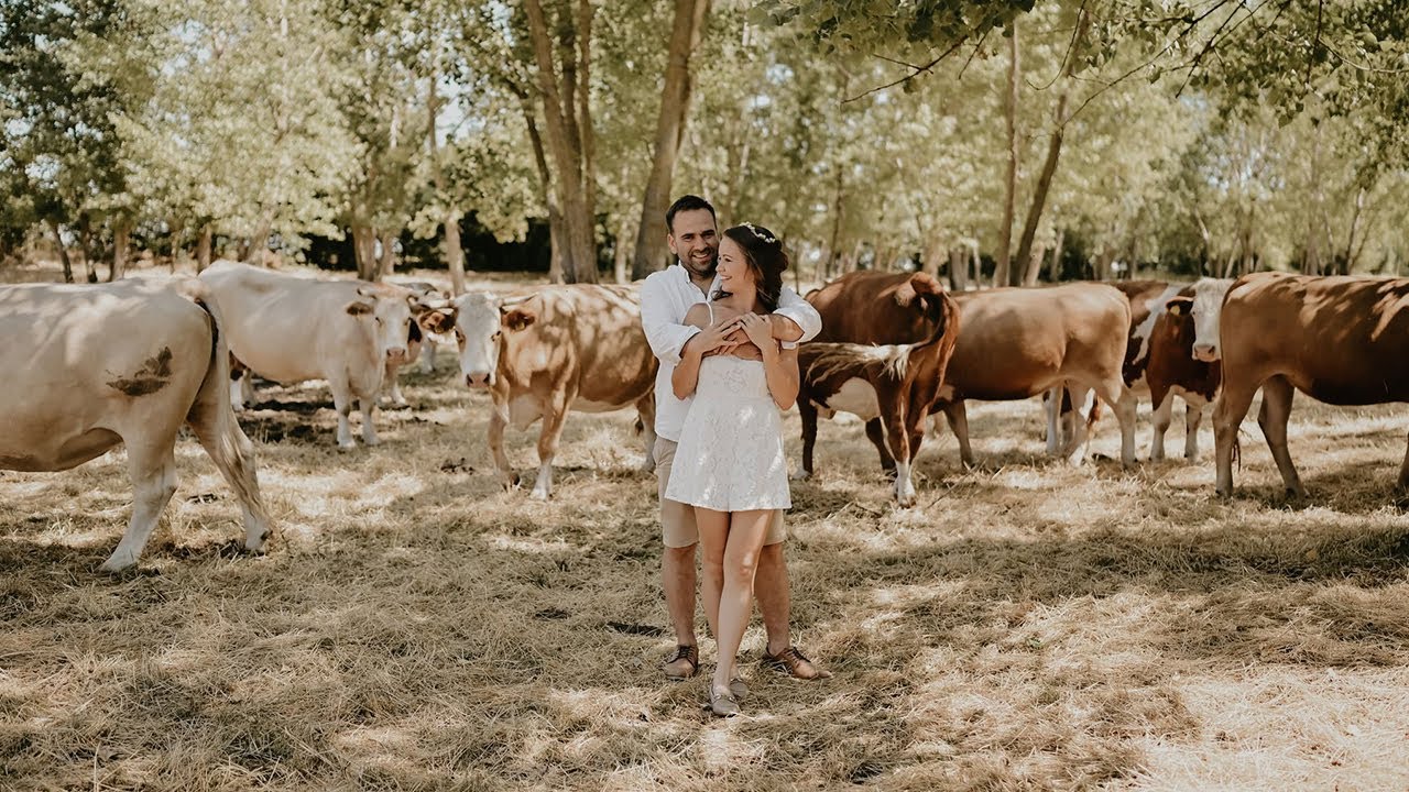 Emese + Bálint | Bodri Pincészet Szekszárd | Wedding highlights