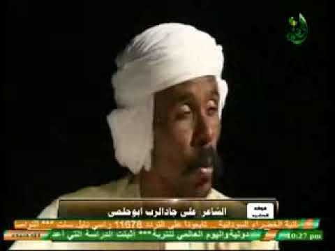 علي جاد الرب الوحيشي