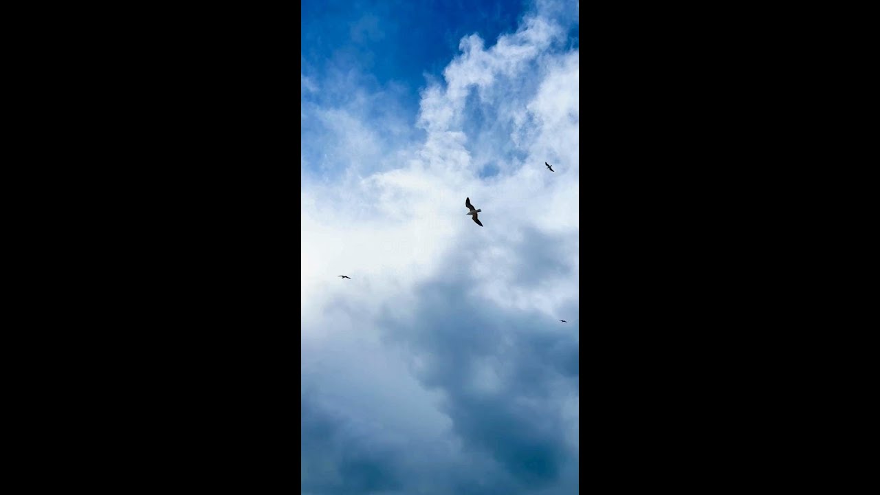 Spirit or coincidence ☁️ 