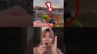 Kamera Burung Ini Rekam Isi Sarangnya 😱
