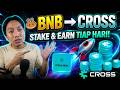 Tutorial Lengkap Step by Step Beli Token $CROSS Pakai BNB di PancakeSwap & Stake di OGF!