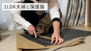 【里親】鳴き声のかわいい保護子猫のためにタイルカーペットを貼る