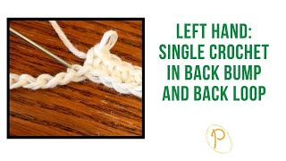 Left Hand Single Crochet in Back Bump and Back Loop: Beginner Crochet #lefthandedcrochet
