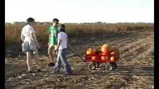 Pumpkin Patch Fall 2004