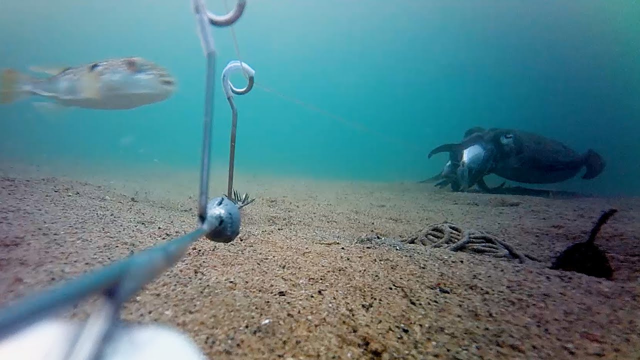 見るだけでヤエン釣りが上手くなります