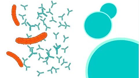 How do vaccines work?