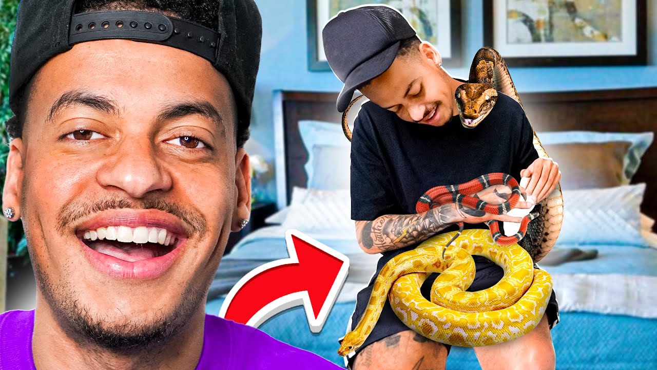 Rhino got a pet snake!