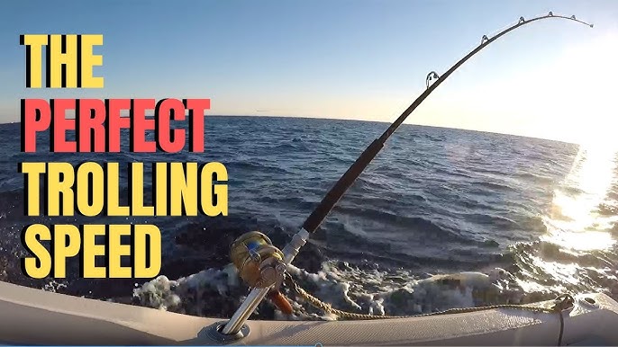 Trolling for Mahi Mahi  Solid mixed bag of fish on the Reef 