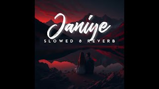 Janiye - Slowed & Reverb | SlowedSoul