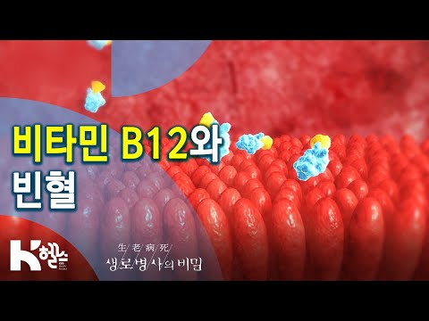 비타민 B12? 결핍되면 뇌기능 저하, 빈혈이 온다? - 742회 (20.08.12) 혈액의 경고, 빈혈