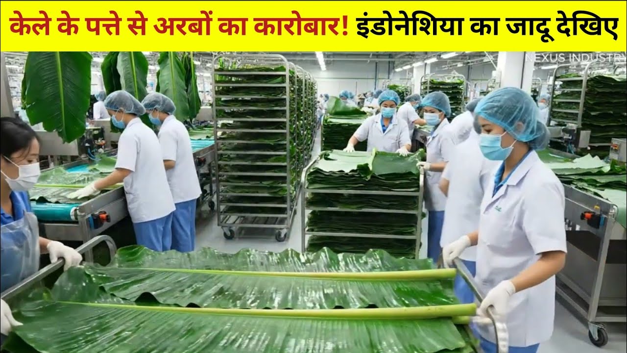 केले के पत्तों से अरबों की कमाई | Indonesia Banana Leaf Factory Amazing Process