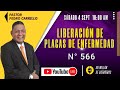 N° 566 "LIBERACIÓN DE PLAGAS DE ENFERMEDAD" Pastor Pedro Carrillo