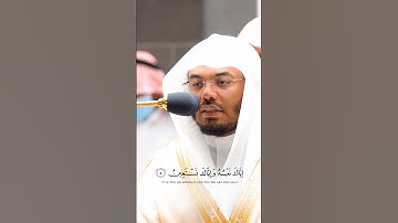 سورة الفاتحة بصوت الشيخ #ياسر #ياسر_الدوسري 🫀🤍