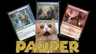 A Beginner's Guide to the Pauper Format