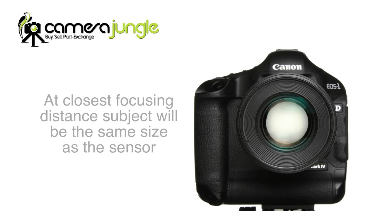 Camera Jungle Presents Canon EF 100mm f2.8L Macro IS USM Lens YouTube