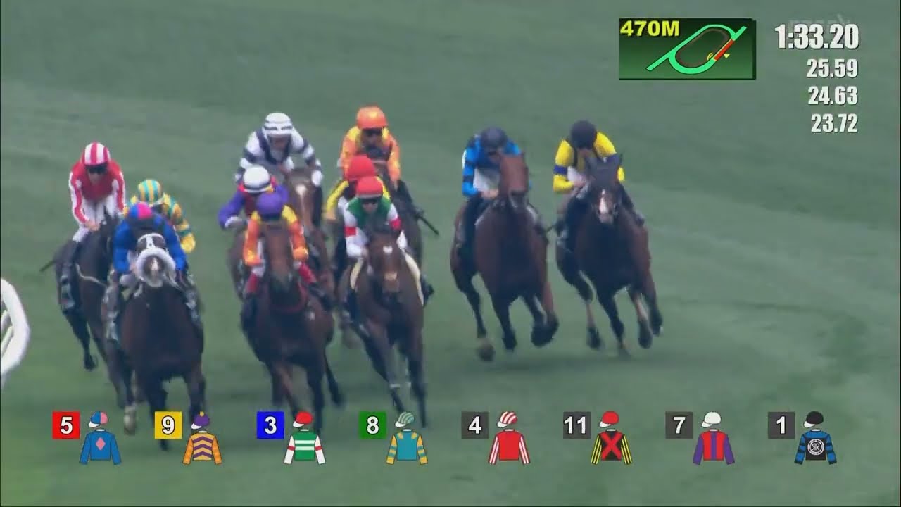 タスティエーラ クイーンエリザベス2世カップ 2025年4月27日 プロ