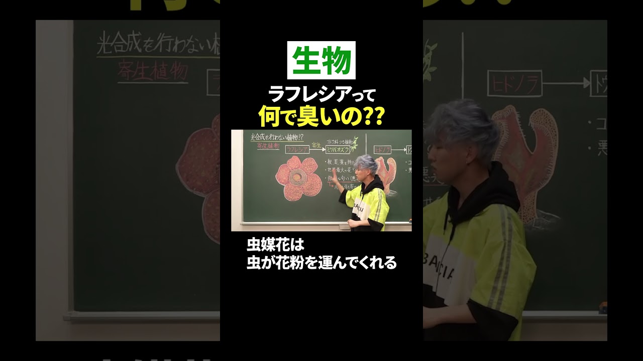 【生物】#ラフレシア なんで臭いの?? #shorts #ただよび #生物 #受験 #臭い