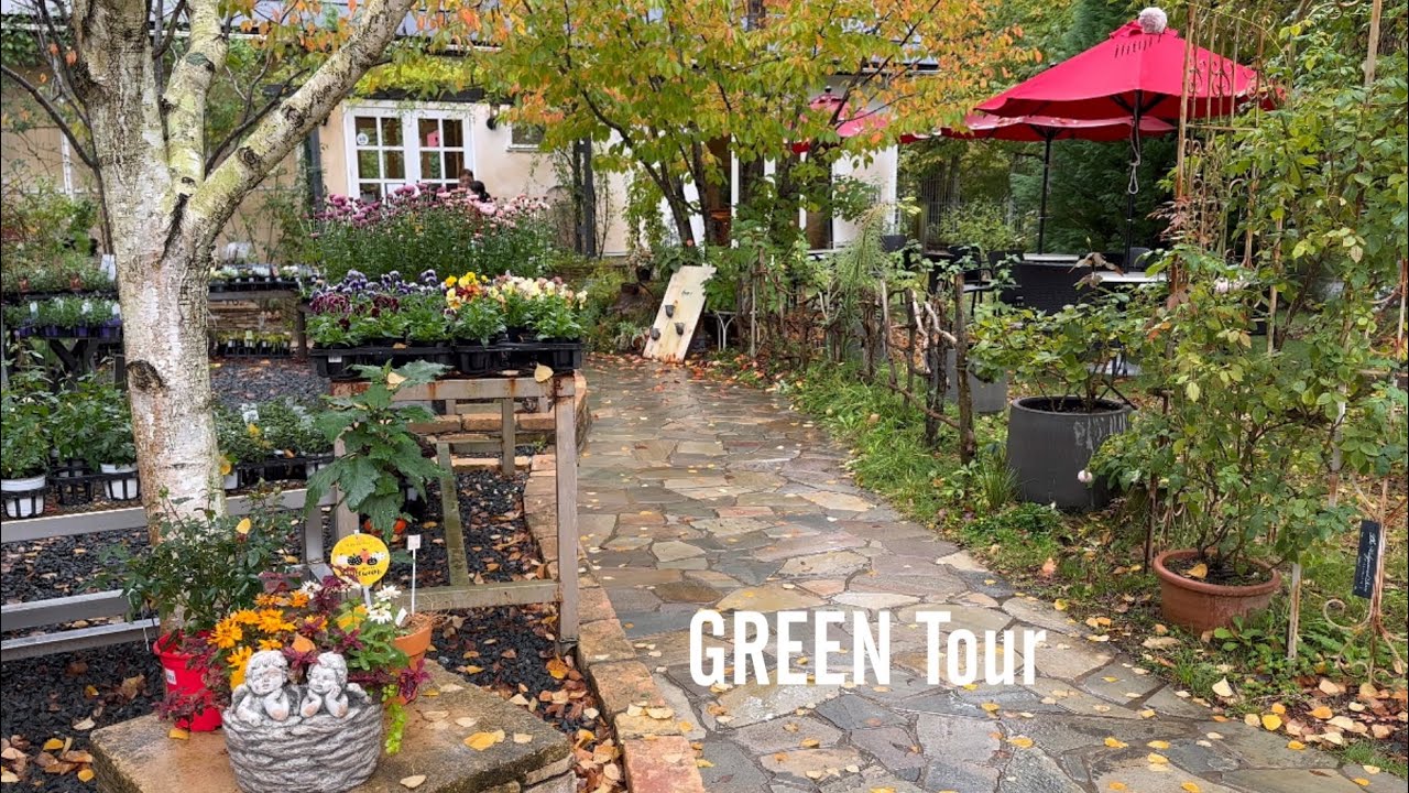 世界バラ会議2025世界優秀庭園を受賞したプロがつくる家庭菜園も必見！絵画のような景色広がる素敵すぎる庭園！ | ローザンベリー多和田 | 園芸/ガーデニング店巡り| 滋賀/米原